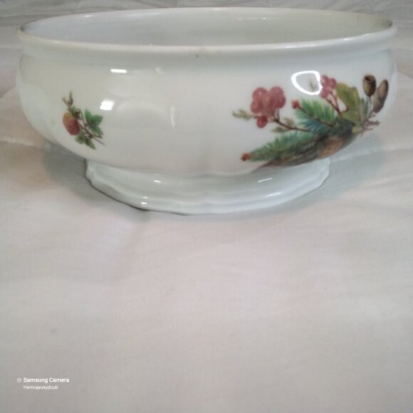 ROSENTHAL Bahnhof Selb Germany "Chippendale" Porcelain Autumn Nature Theme Bowl - Picture 2 of 9